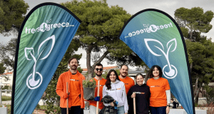 instacar_team_afforestation_1200x800