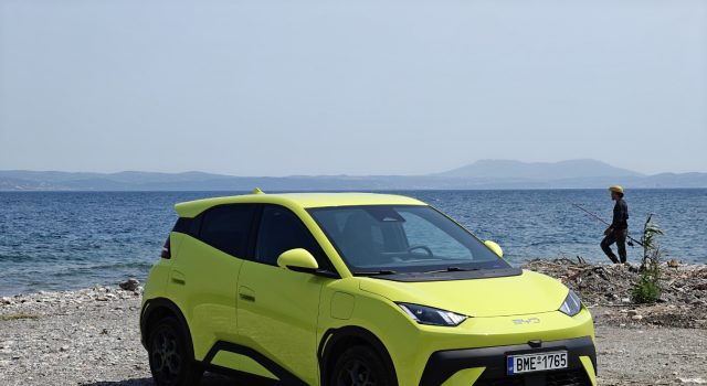 BYD Dolphin Surf