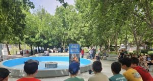 irakleio imera perivallontos odiki asfaleia patini dott (15)