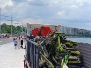 patinia thessaloniki thermaikos (2)